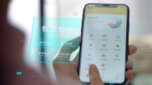 中国物业管理行业 市场规模与大数据的剖析下的发展前景展望